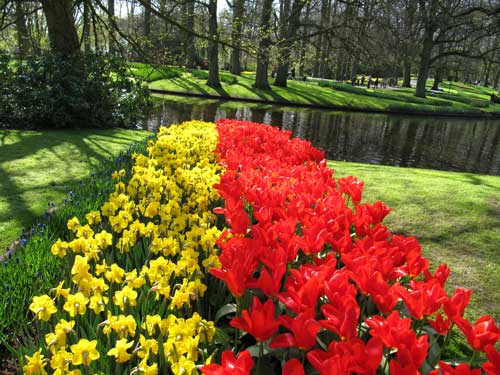 تصاویری از باغ گل در هلند