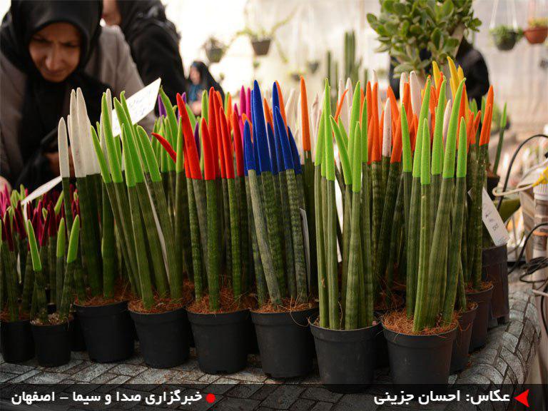 عکس بازار گل و گیاه اصفهان