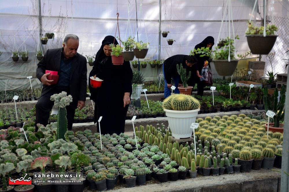 عکس بازار گل و گیاه همدانیان اصفهان