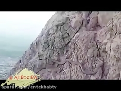 فیلم مار در کوه صفه اصفهان