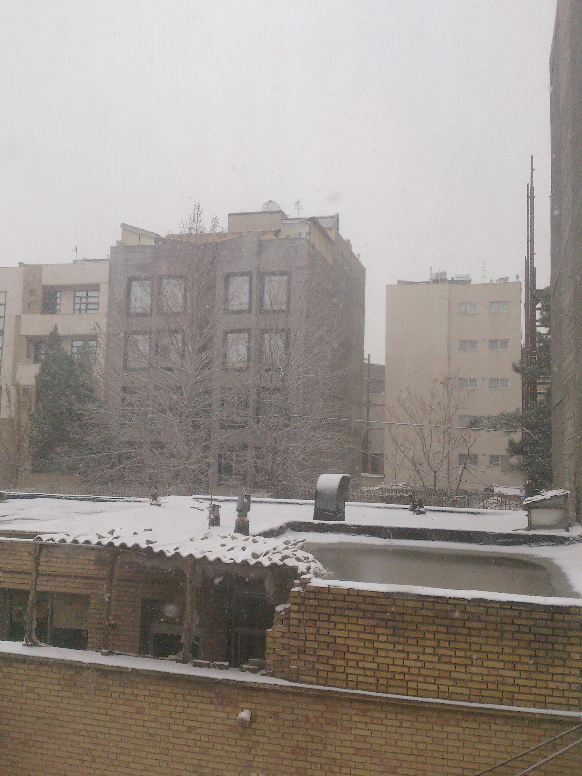 تصاویر برف امروز مشهد
