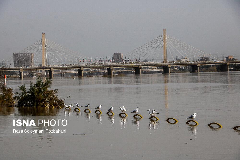 عکسهای رودخانه کارون اهواز