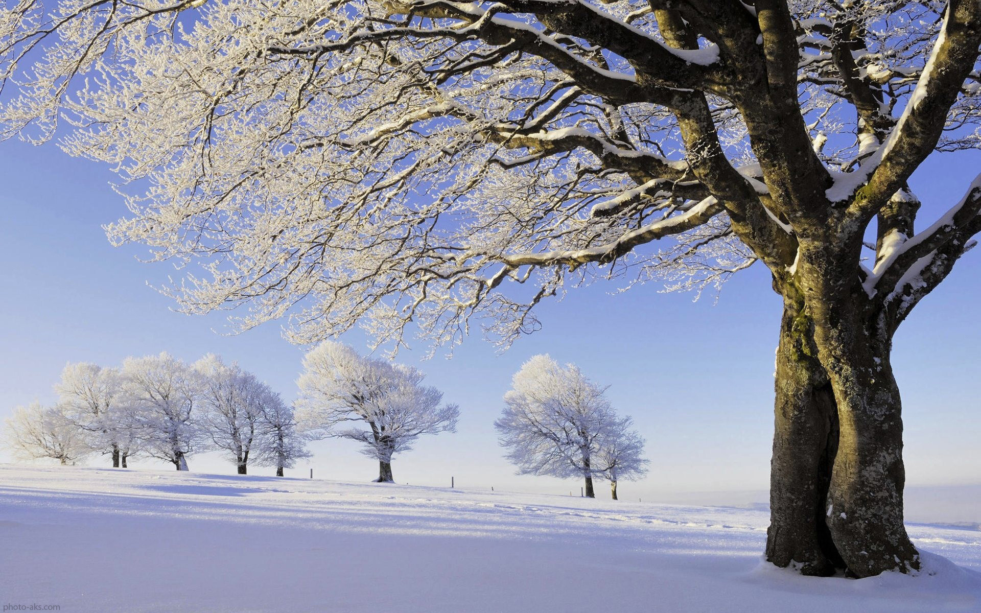 تصاویر زیبا از فصل زمستان