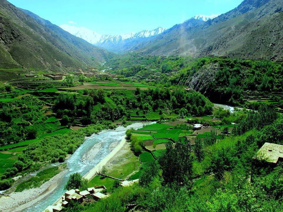 عکس زیبا افغانی
