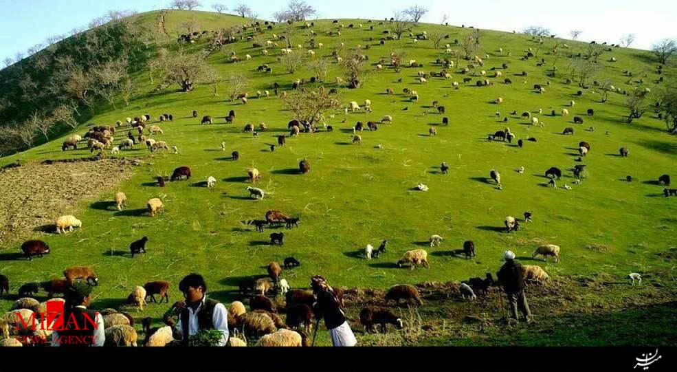 عکس طبیعت افغانستان
