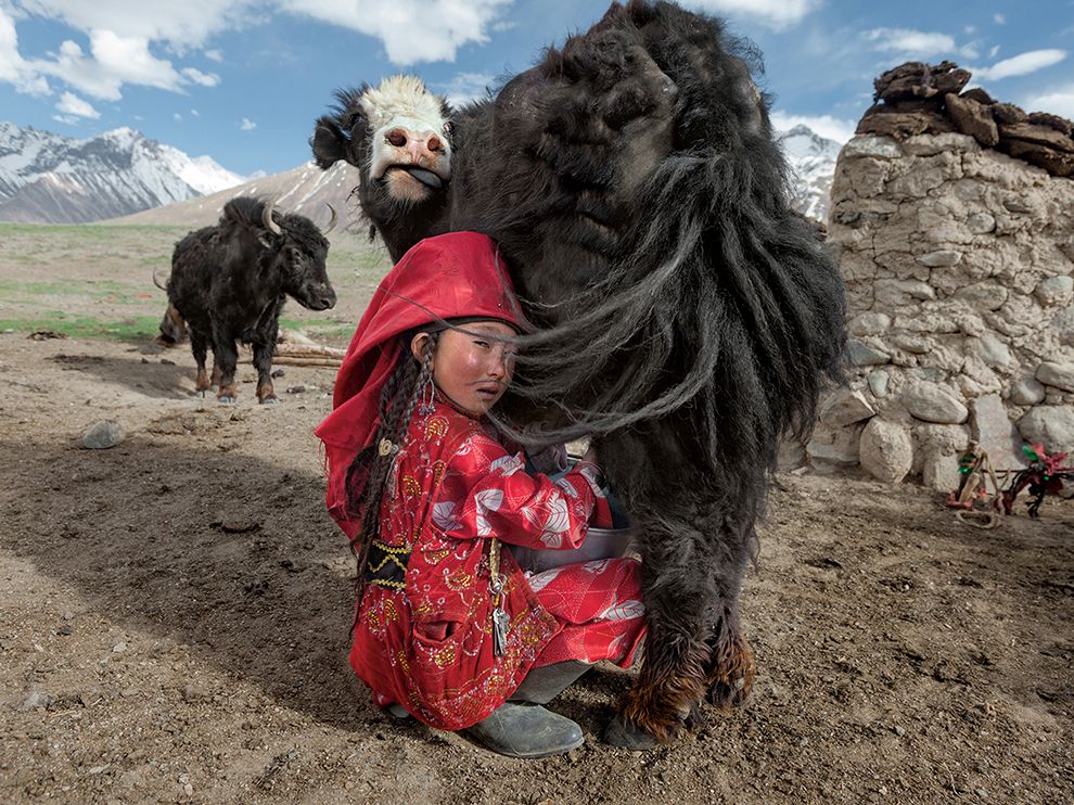 عکسهای افغانی جدید