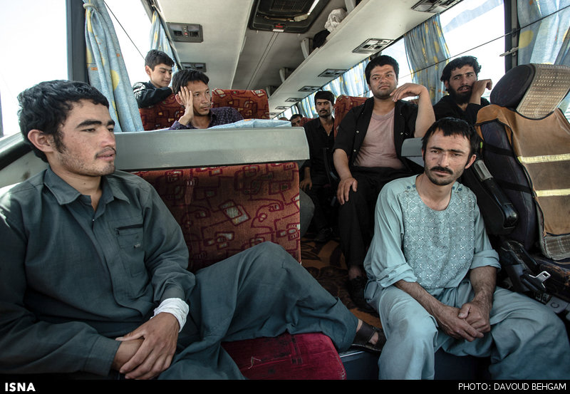 عکس از افغان ها
