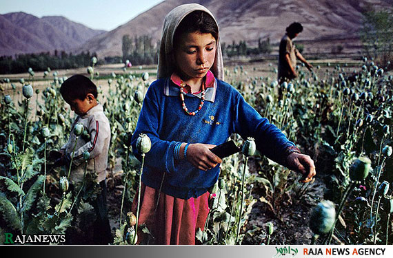 عکسهای افغانستانی
