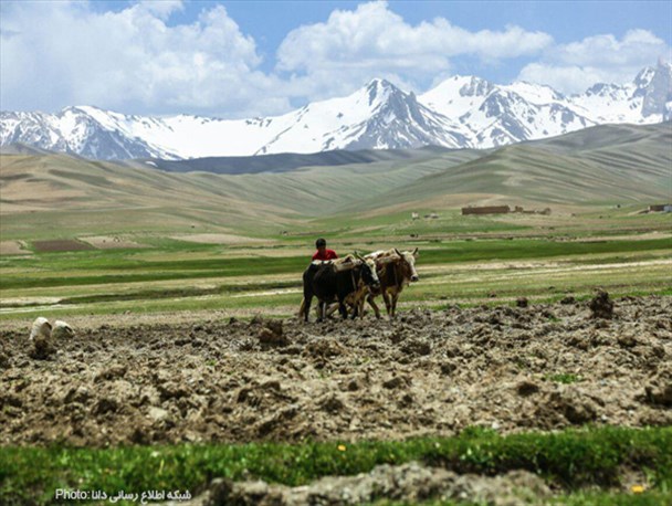 عکس از طبیعت افغانستان