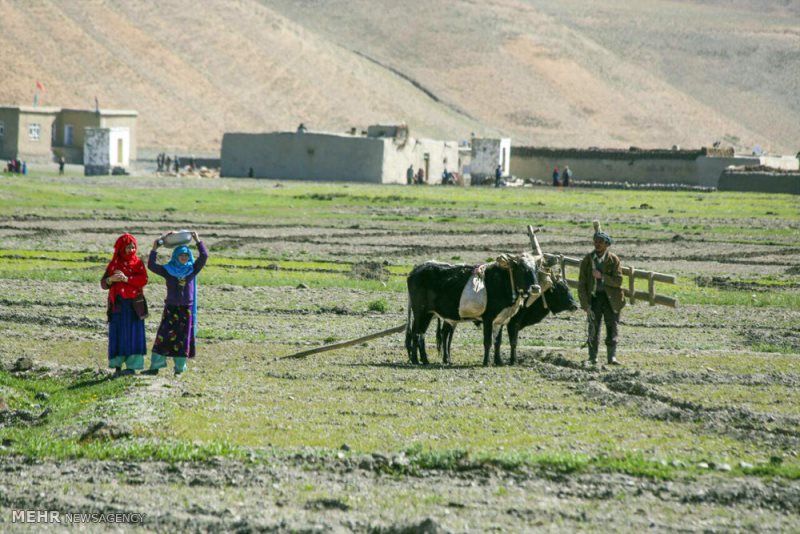 تصاویری از طبیعت زیبای افغانستان