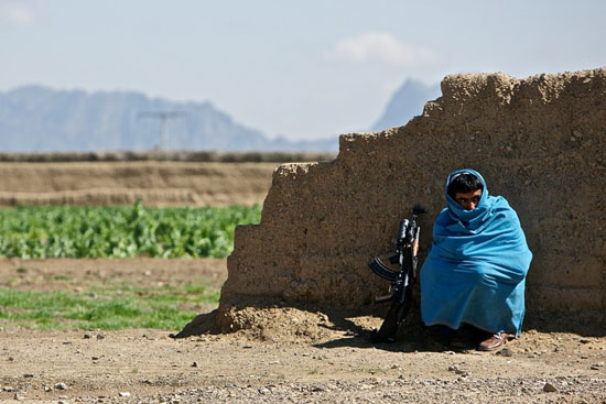 عکسهای تریاک افغانستان