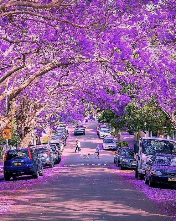 تصاویر زیبا از کشور استرالیا
