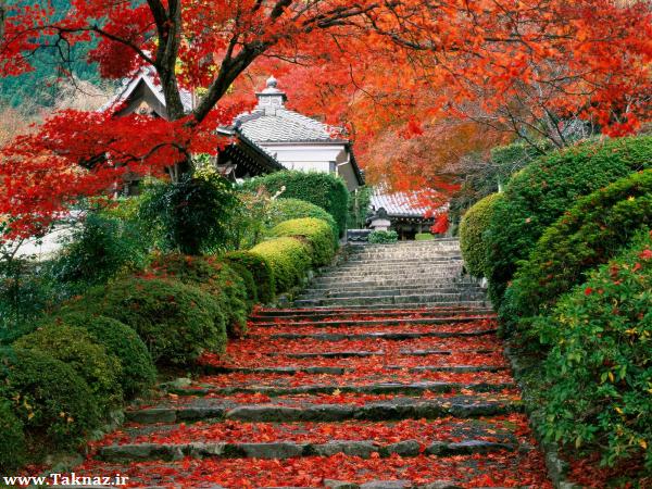 تصاویر زیبای کشور ژاپن
