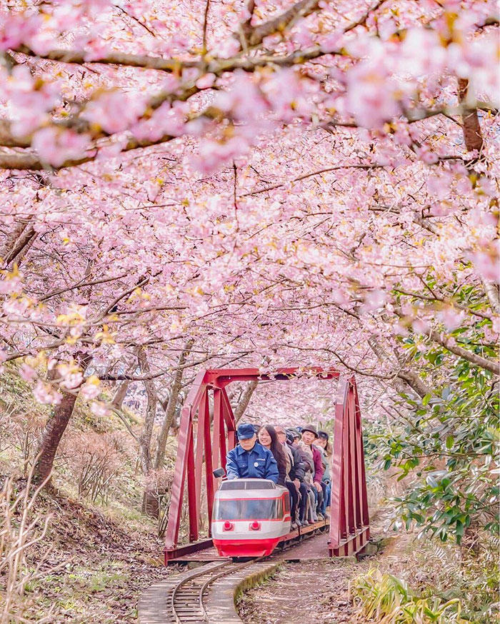 تصاویری زیبا از کشور ژاپن