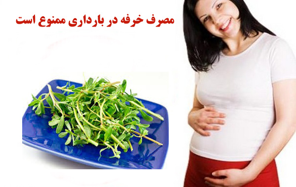 خوردن سبزی خرفه در بارداری
