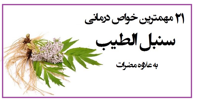خواص درمانی گل گاوزبان و سنبل الطیب
