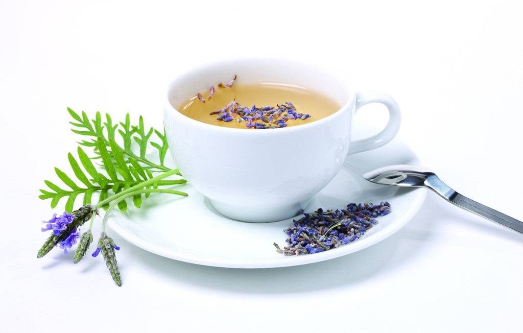 مصرف چای اسطوخودوس در بارداری
