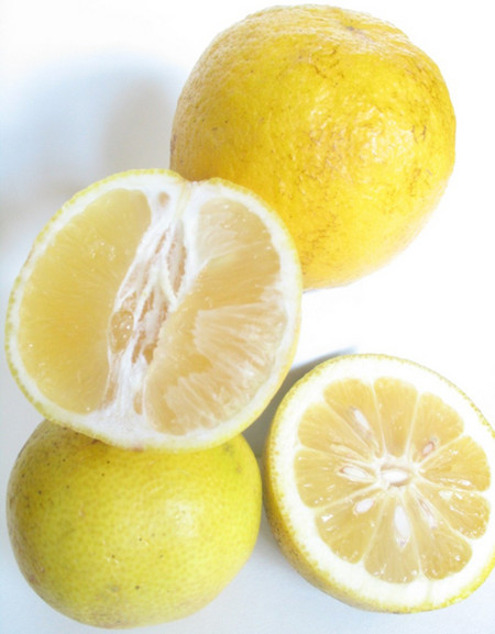 لیمو شیرین به انگلیسی
