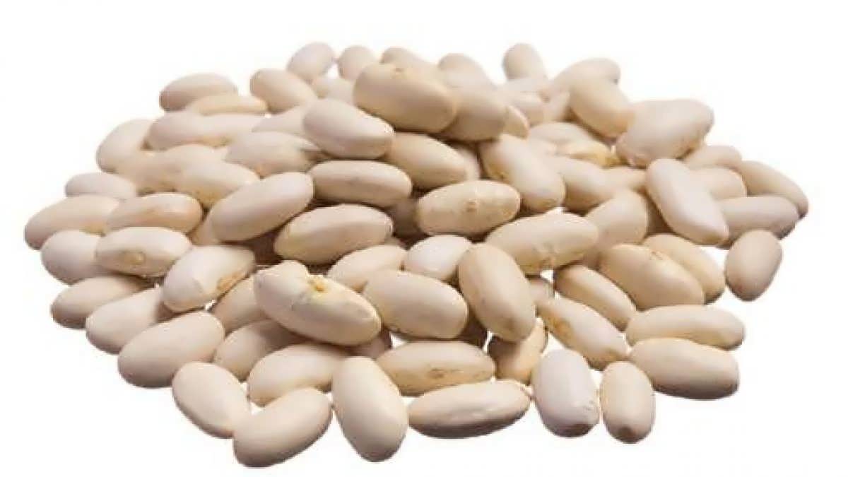 images of white kidney beans