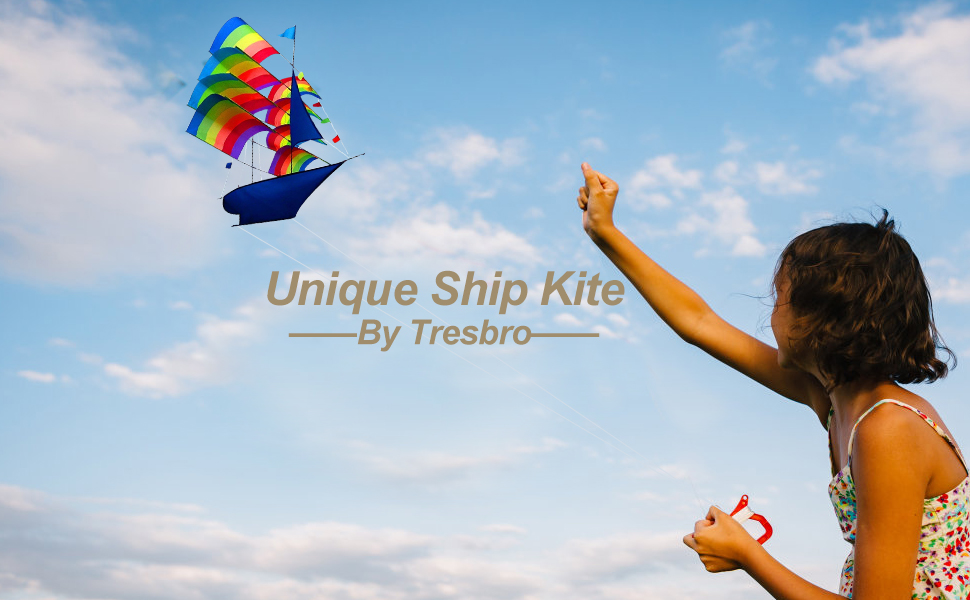 picture of girl flying a kite