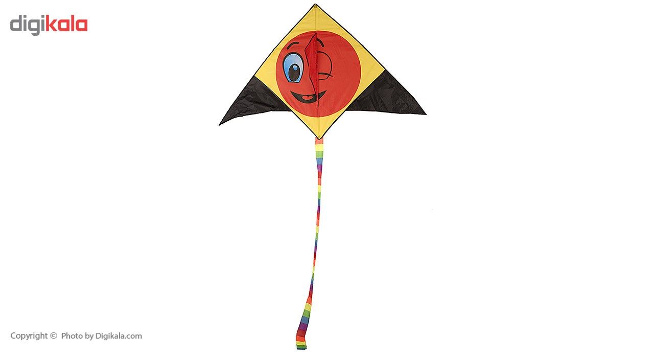 show the picture of kite bird