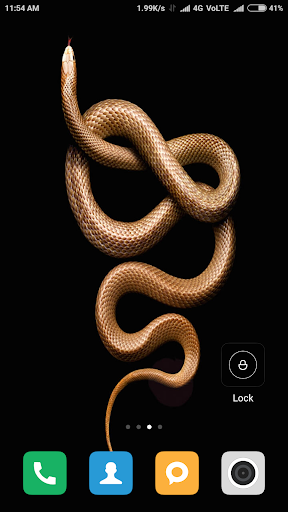 indian king cobra snake wallpaper