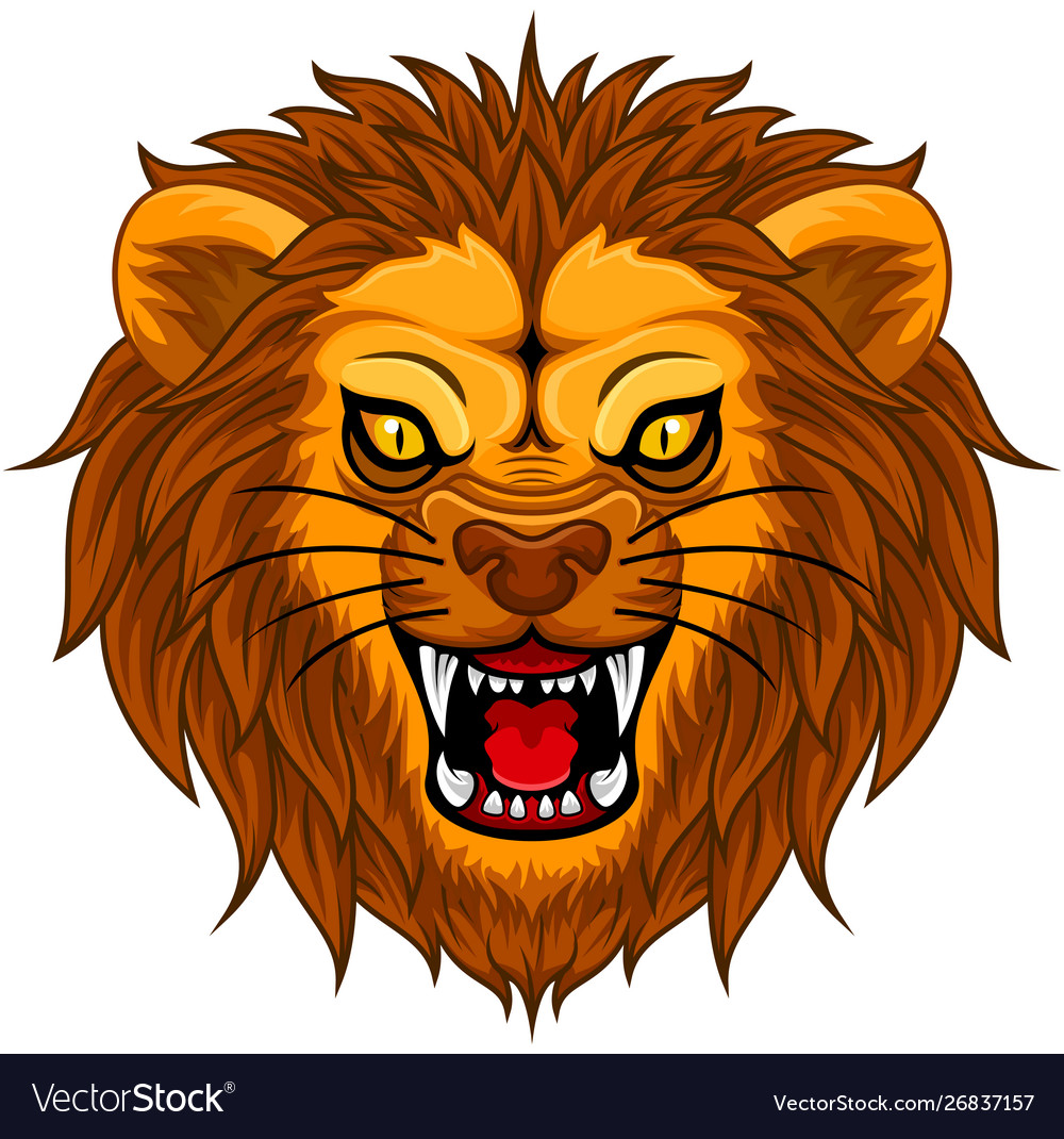 pic of lion face
