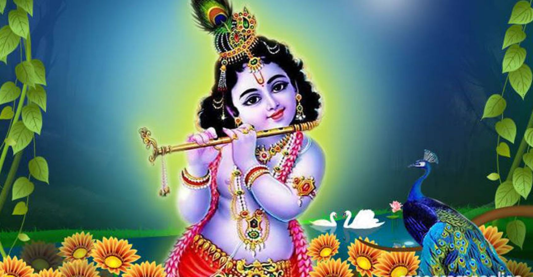 pic of god krishna