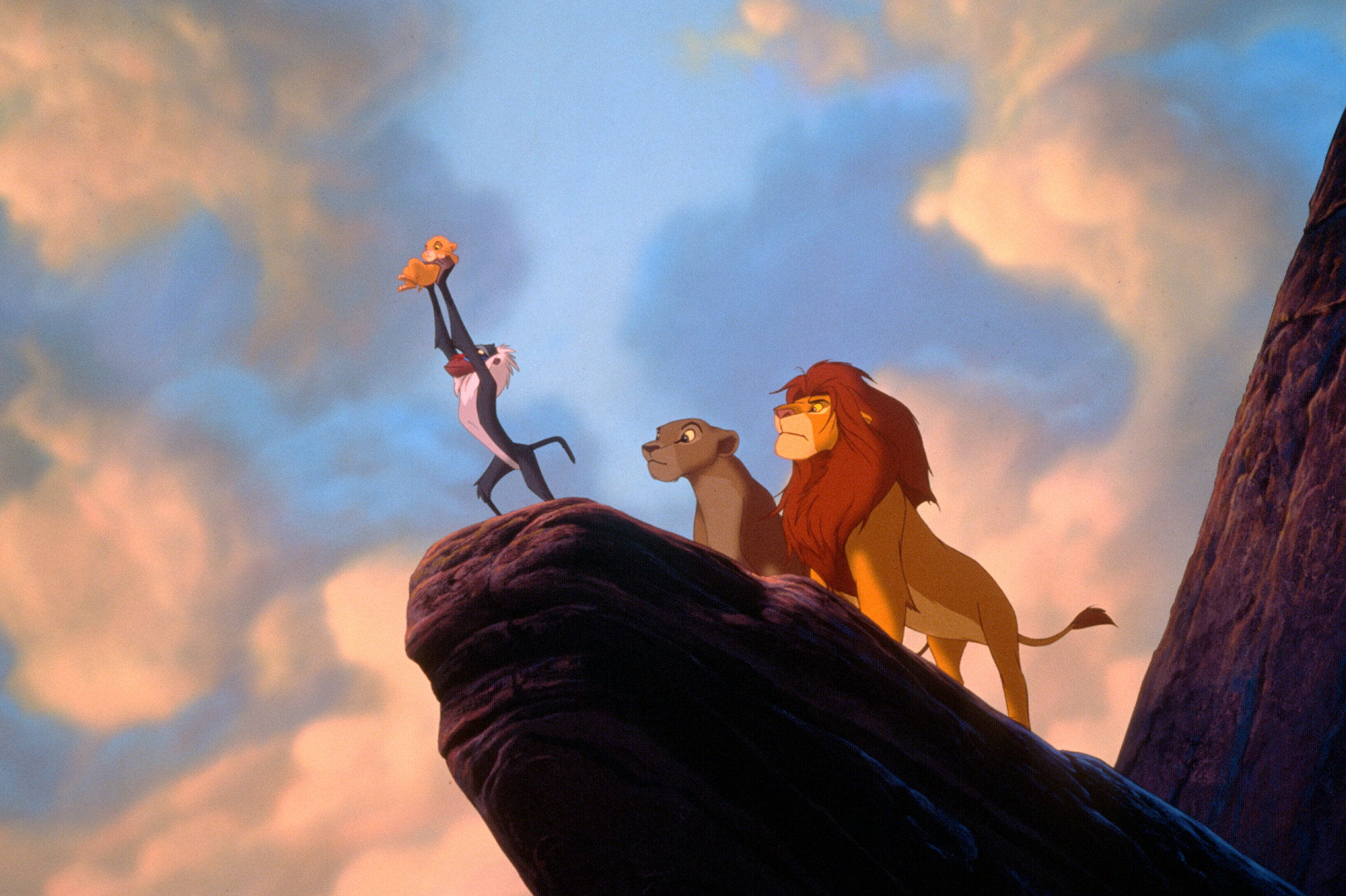 photo gallery of lion king