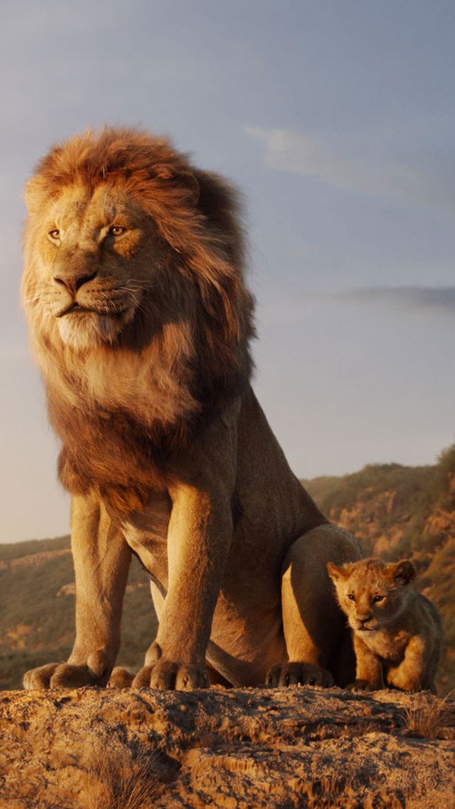 photo of simba the lion king
