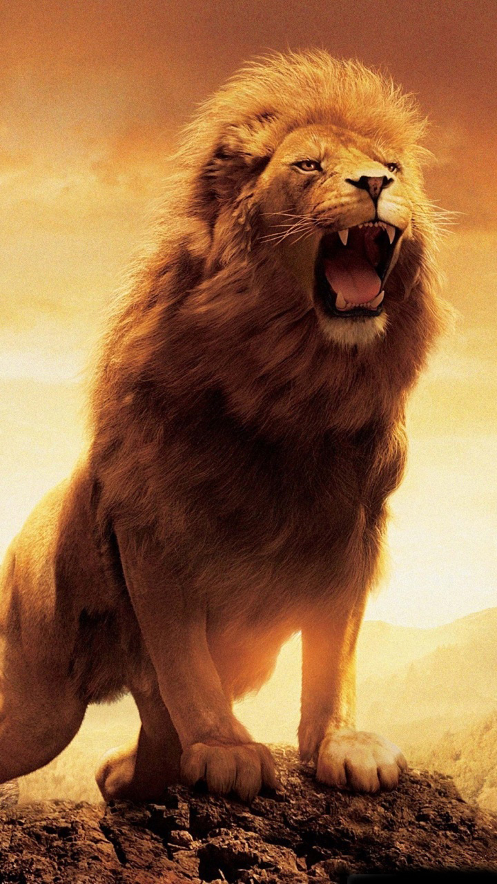 roaring lion photos download