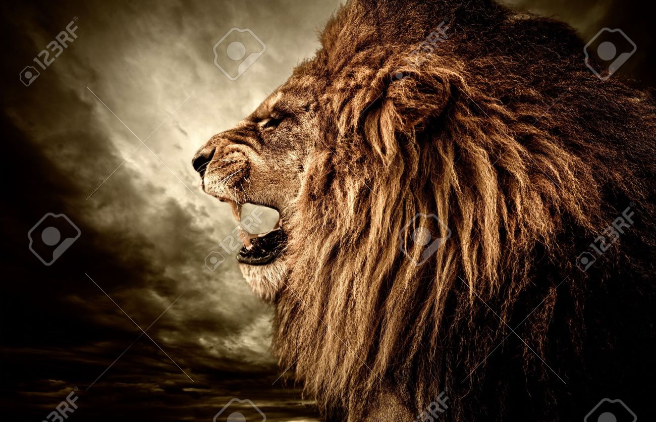 roaring lion images