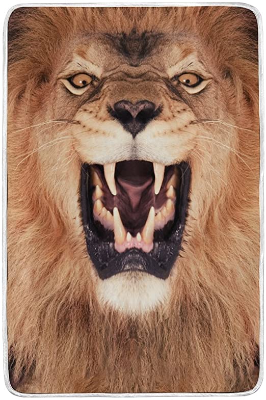 roaring lion images