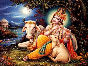 lord krishna images with cow