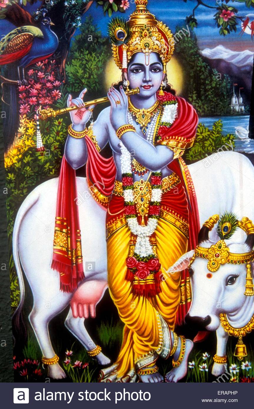 lord krishna hd images with cow