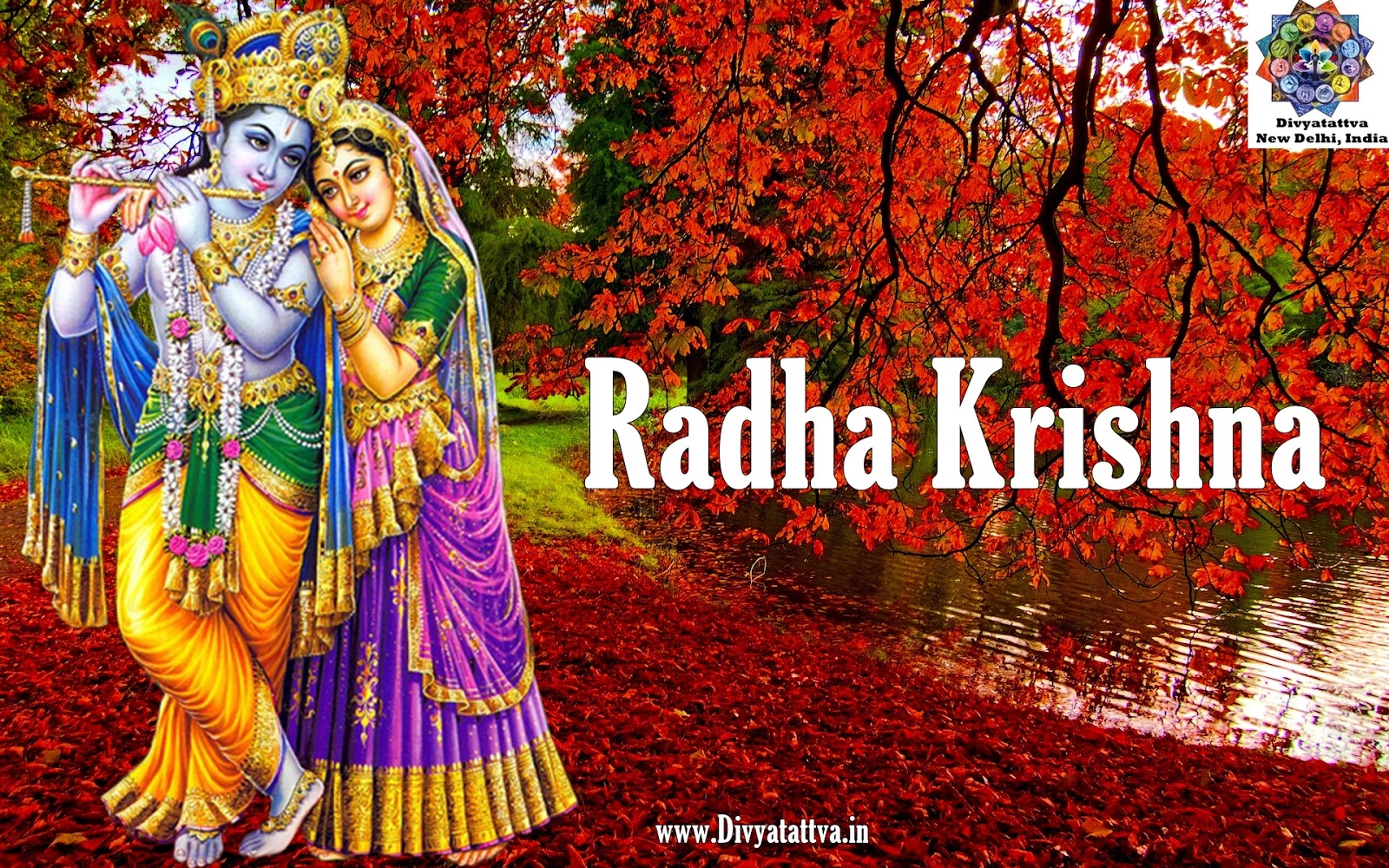best lord krishna hd images photos & wallpapers download