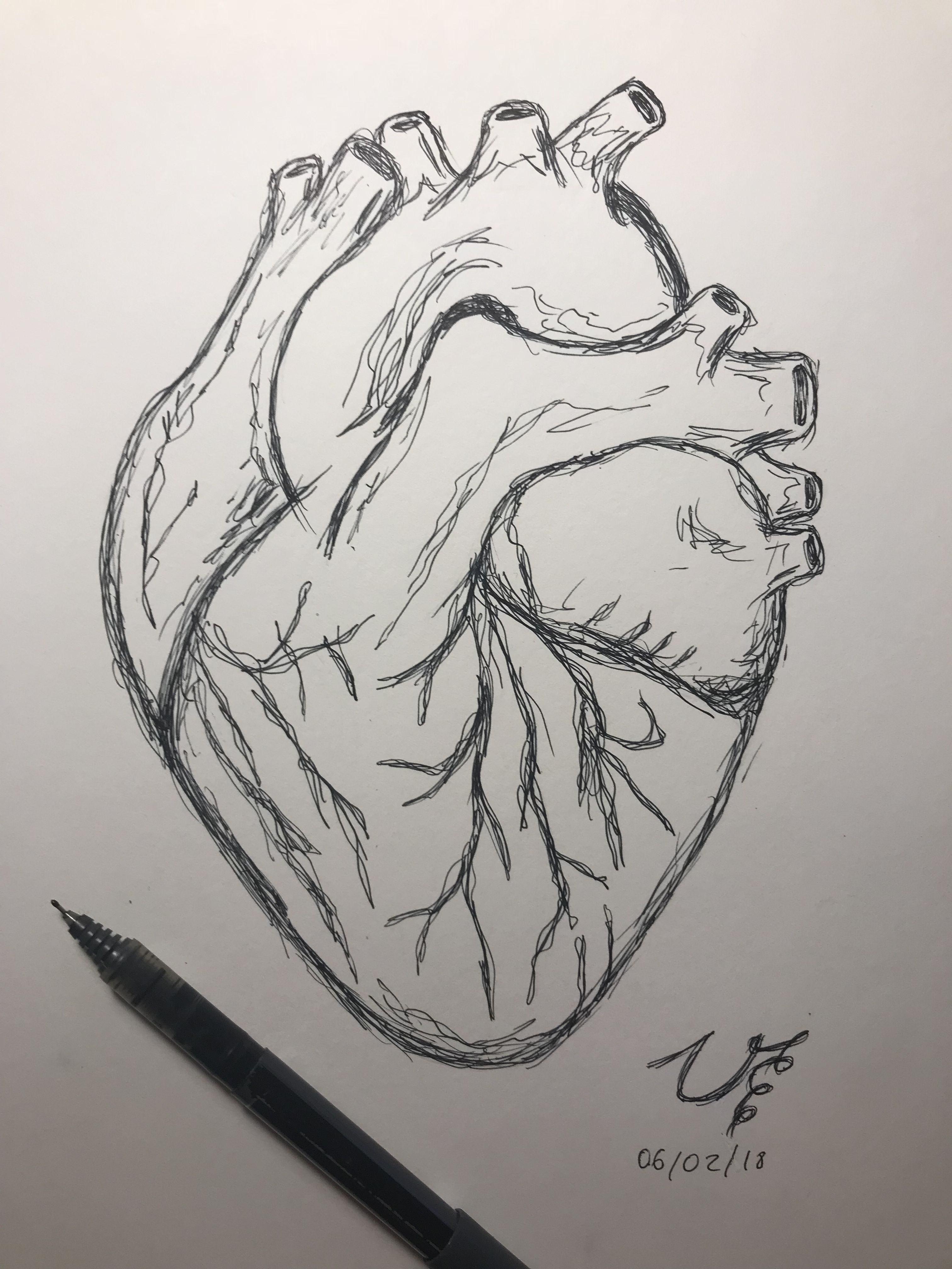 images of human heart drawing