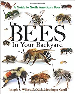 pic of types of bees