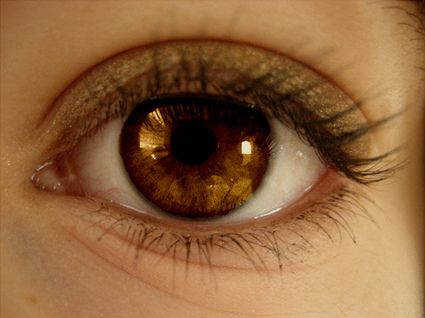 pic of beautiful brown eyes
