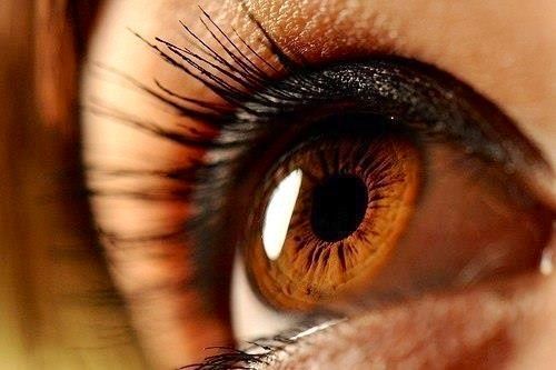 pic of beautiful brown eyes