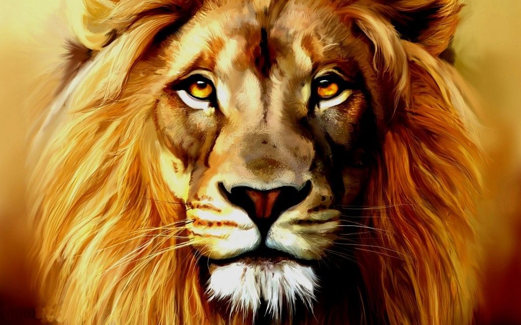 lion face full hd images
