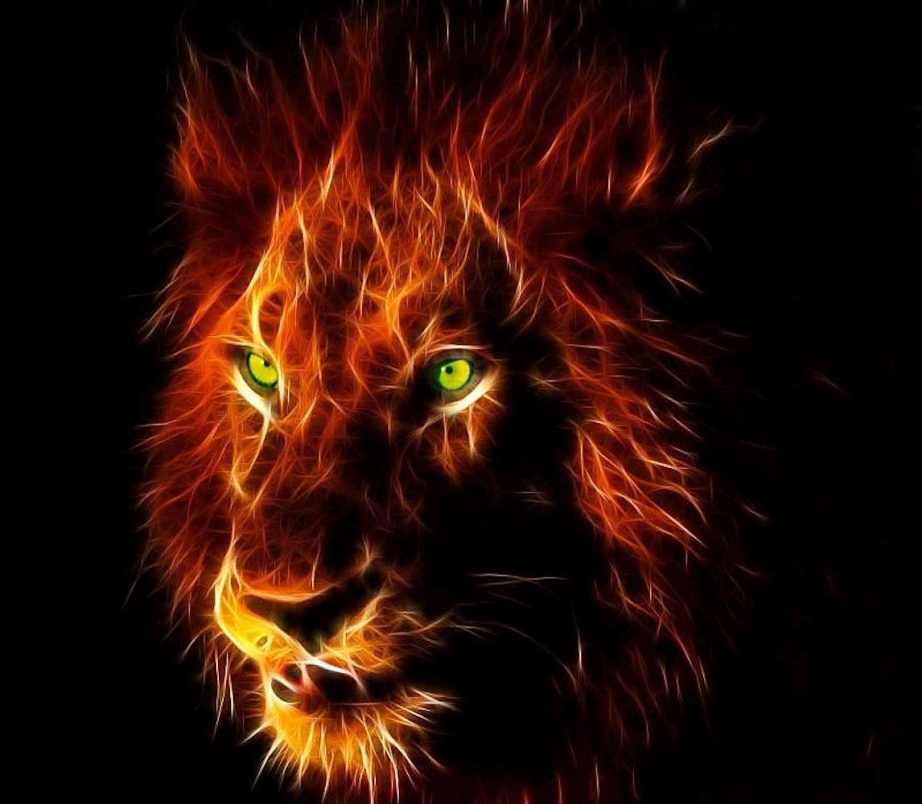 download lion dangerous images