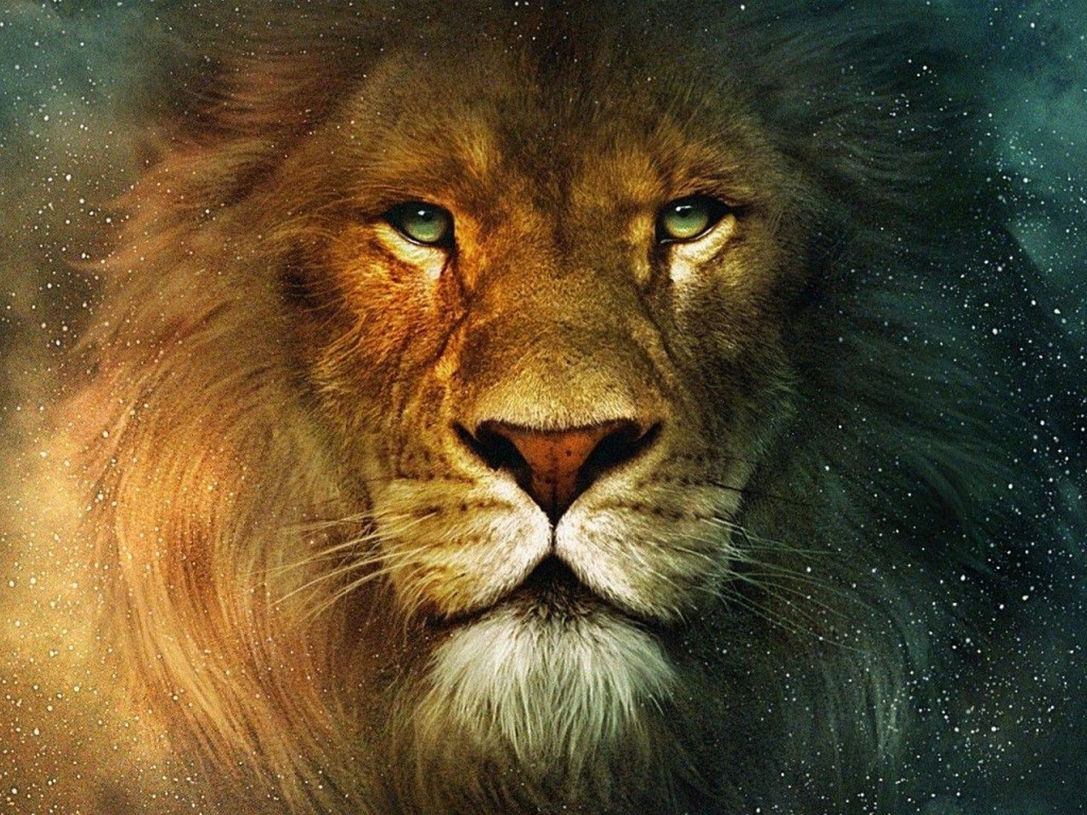 lion face full hd images