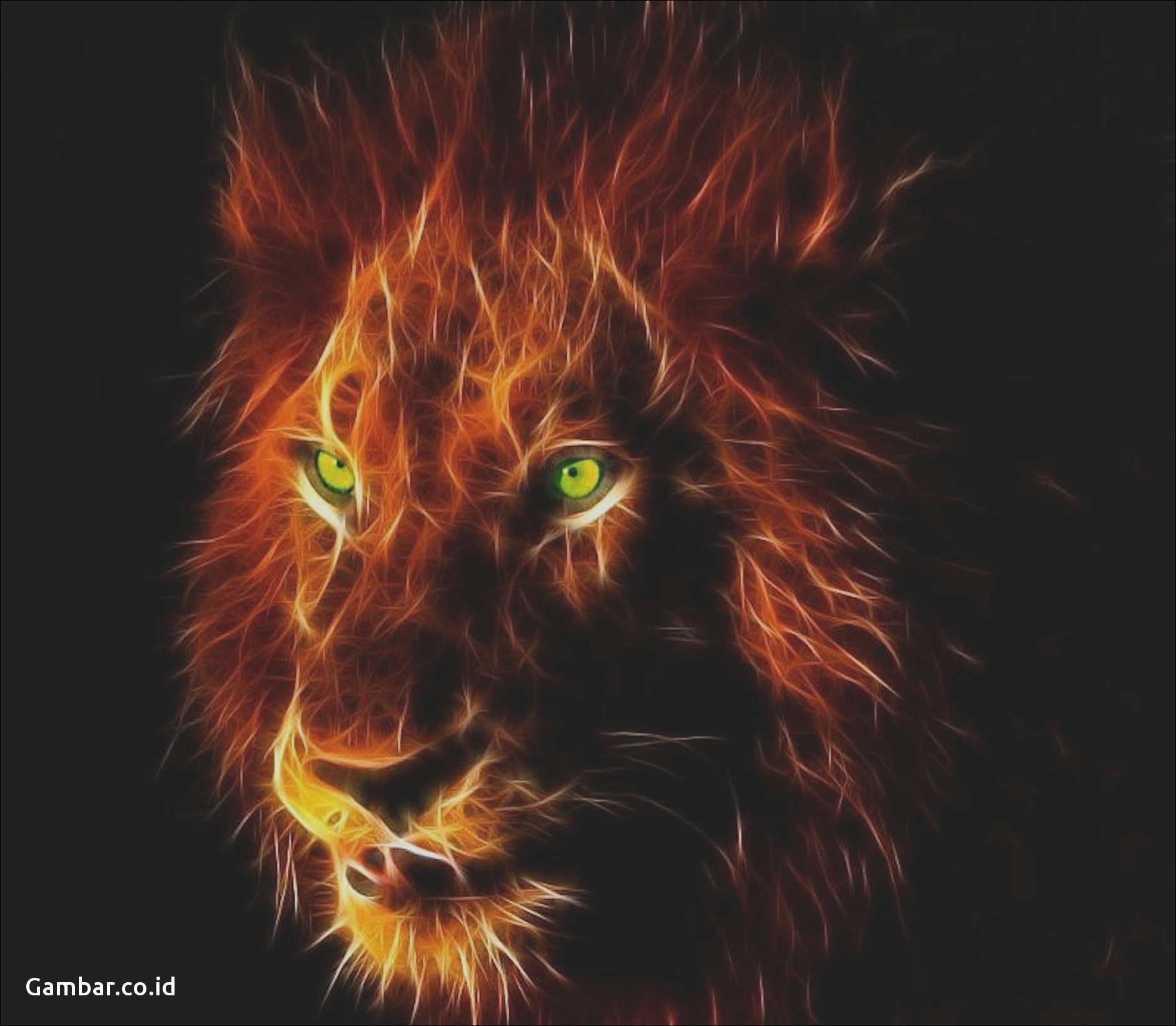 dangerous lion hd images download