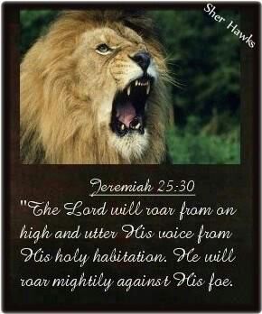 roaring lion bible quote
