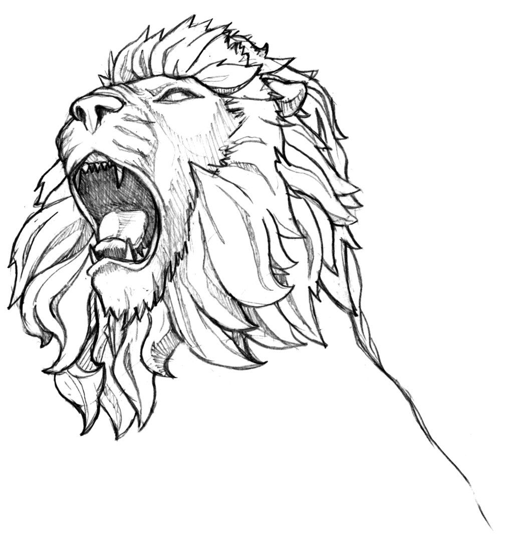 roaring lion head drawing