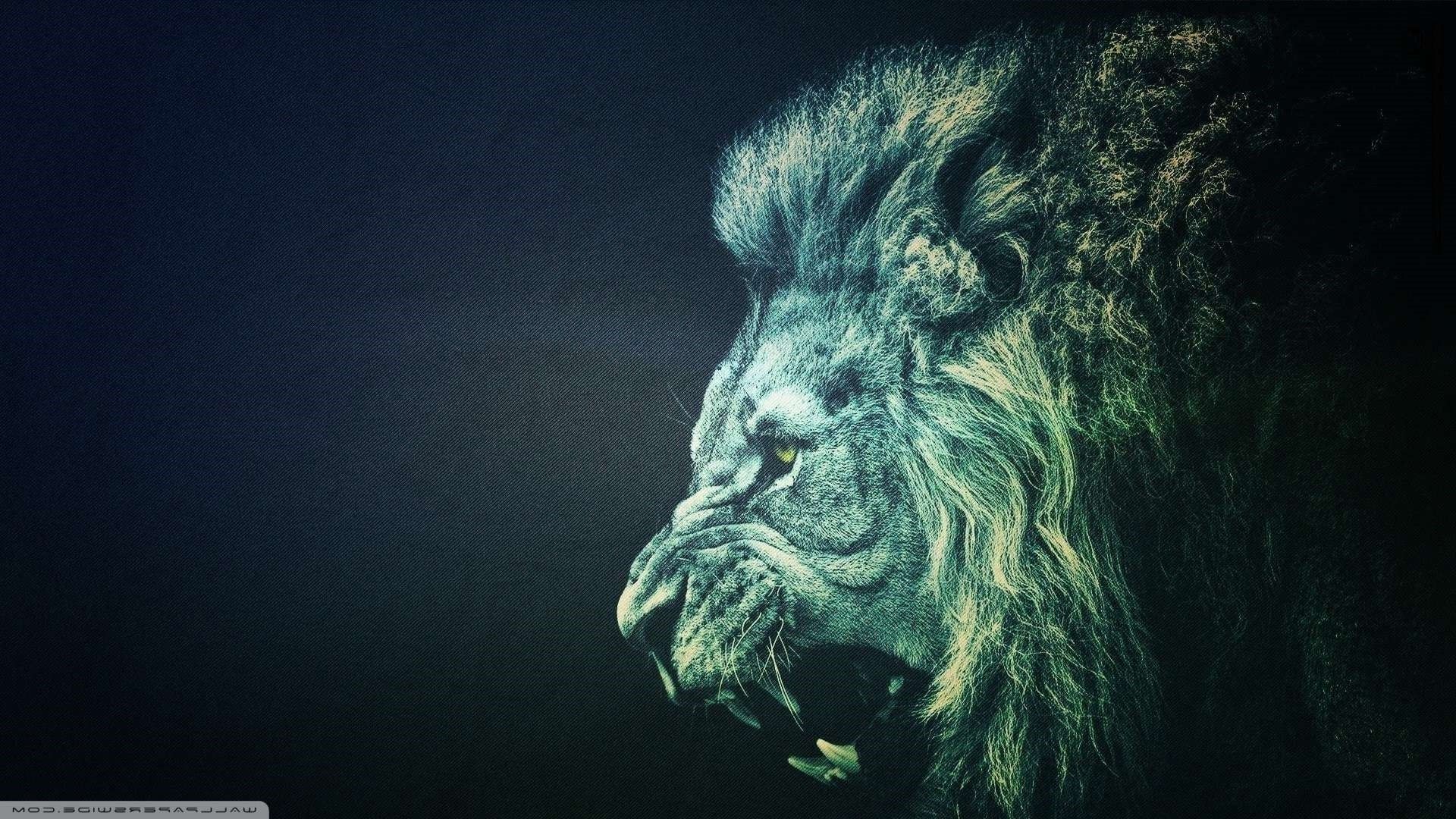 roaring lion wallpaper hd 1080p iphone