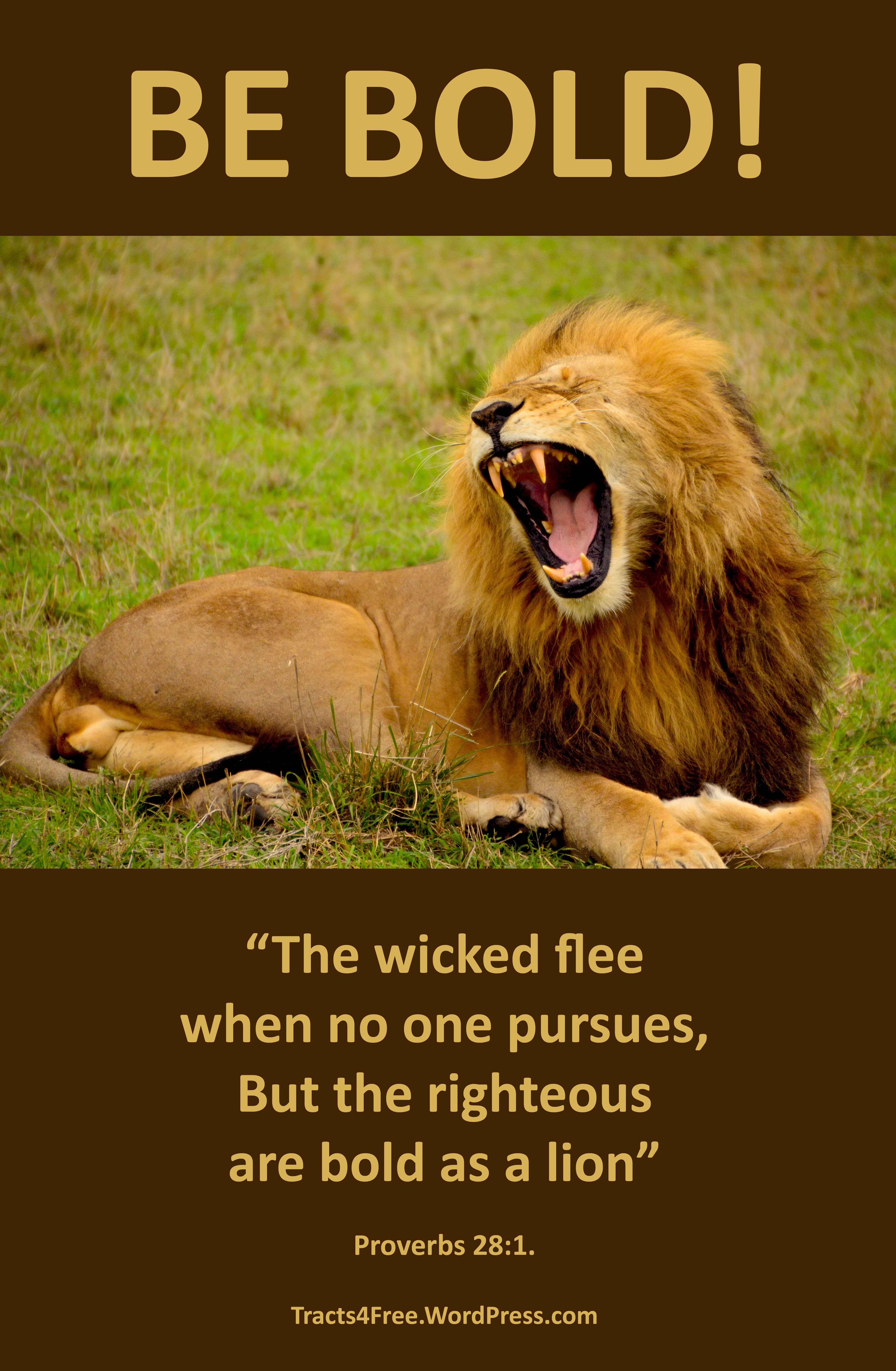 roaring lion bible quote
