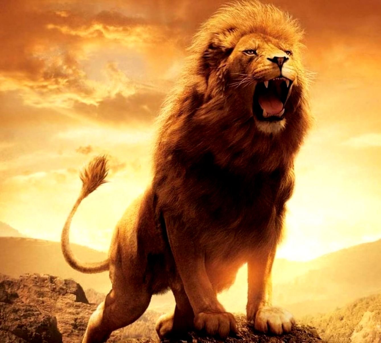 roaring lion wallpaper hd 1080p iphone