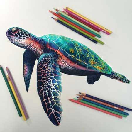 نقاشی با مداد رنگی حرفه ای فانتزی